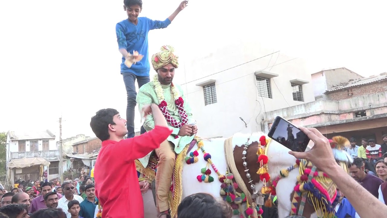 Dj Live Varghodo || Horse Dance