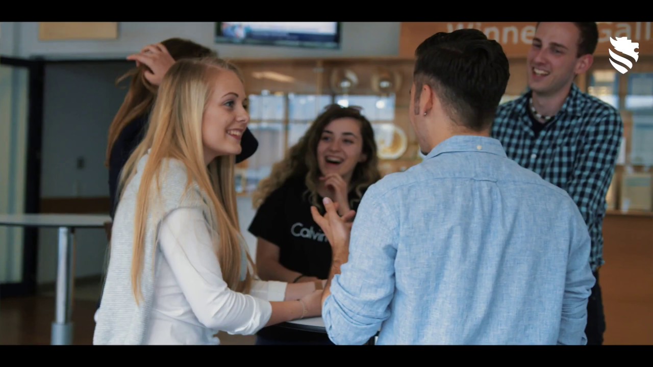 FHWN Studieng&auml;nge - Bachelor Business Consultancy International