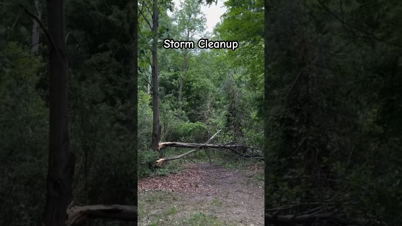 Storm Cleanup