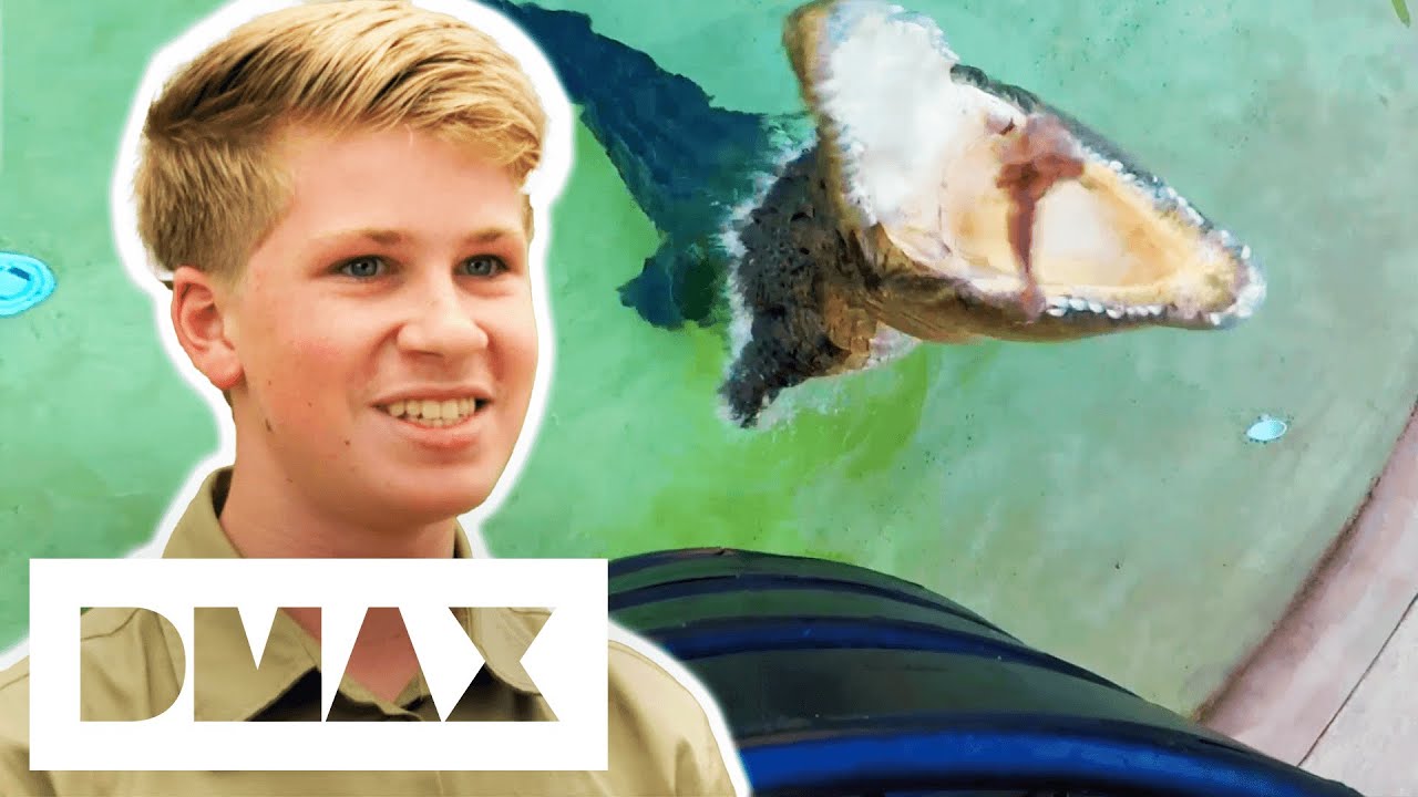 Robert Irwin's First Crocodile Feeding | Crikey! It's The Irwins