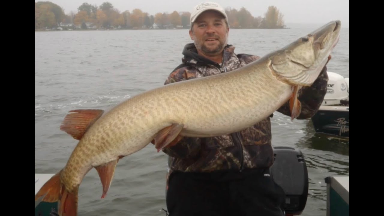 Fishing TV Show: FishnStixTV Show #006 Fat AZ Musky