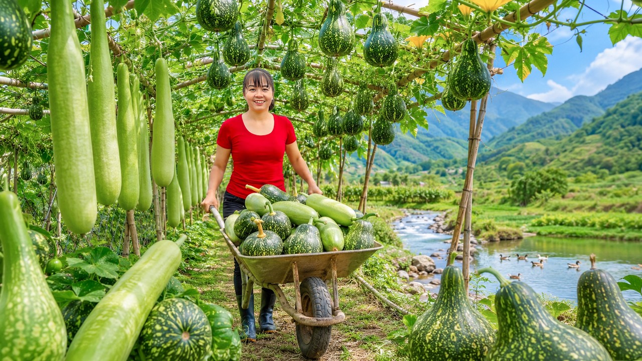TIMELAPSE -- Harvest, Sell & Cook with Peanuts, Gourds, Pumpkins and Chayote in the Forest