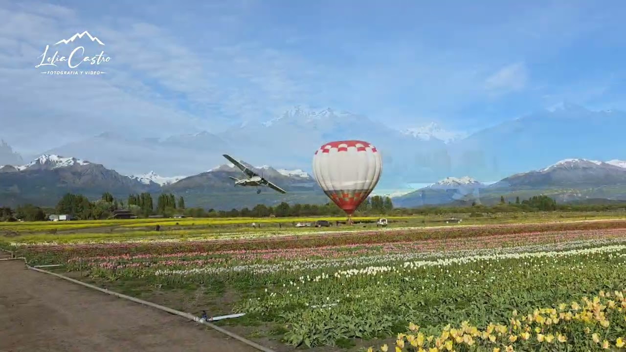 Tulipanes, Globo y Avioneta: Una vista inolvidable en la cordillera.