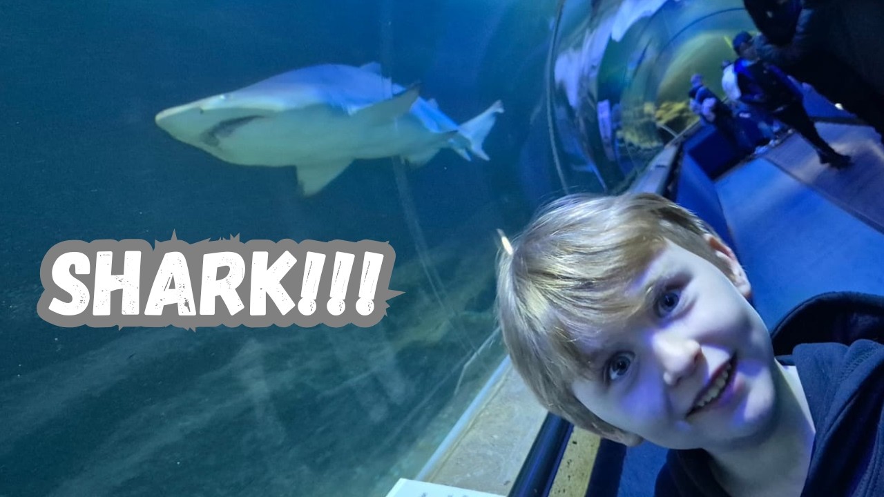 Max tries Deep Sea World - SHAAARRKKK!!!