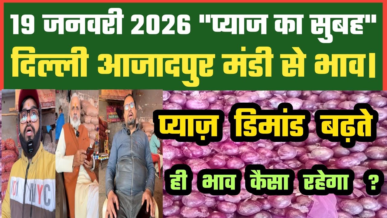प्याज में डिमांड का असर भावों पर ? Azadpur Delhi Mandi Today में 19-01-2026 के Onion Price DMT TV