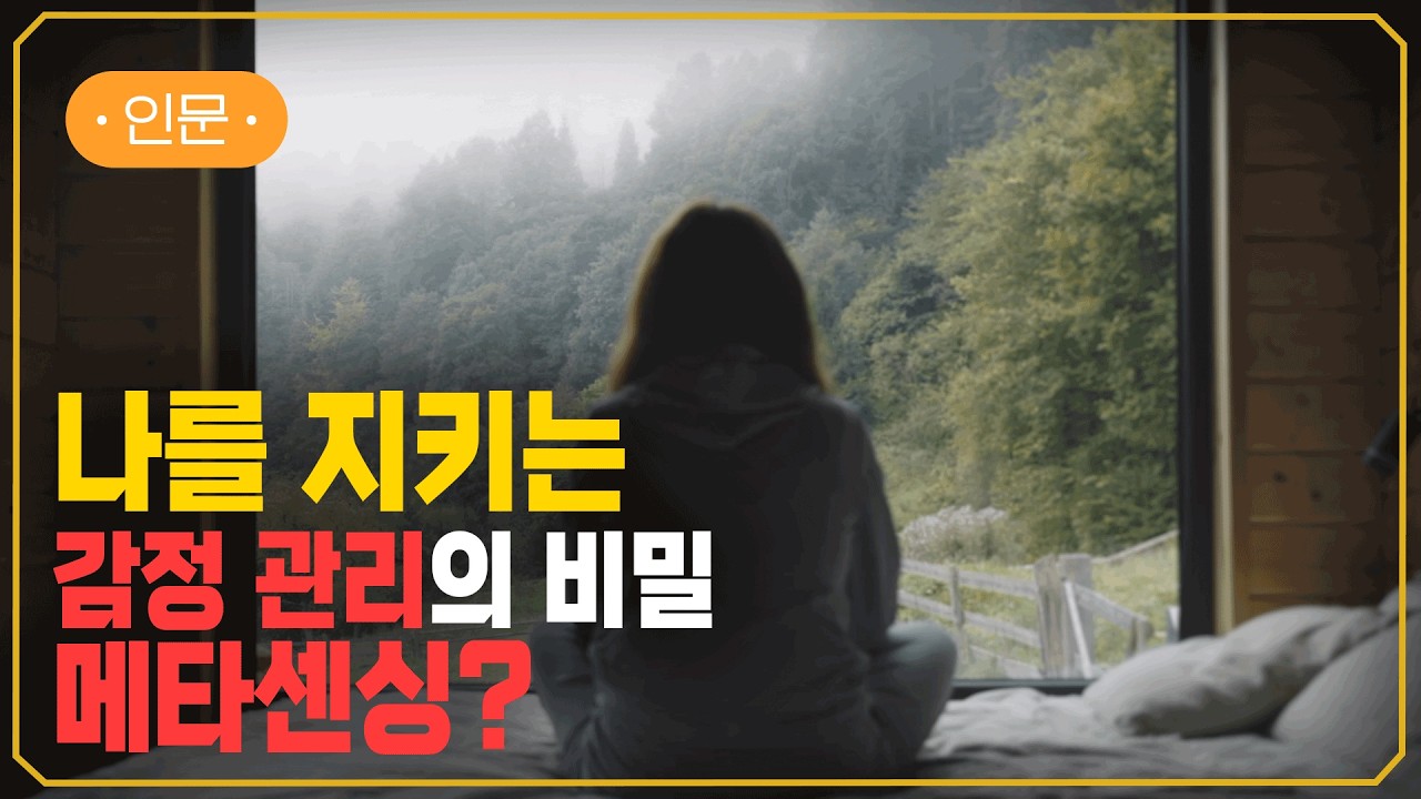 내 감정을 이해하는 방법 | 메타센싱과 감정 관리 | #지식채널e