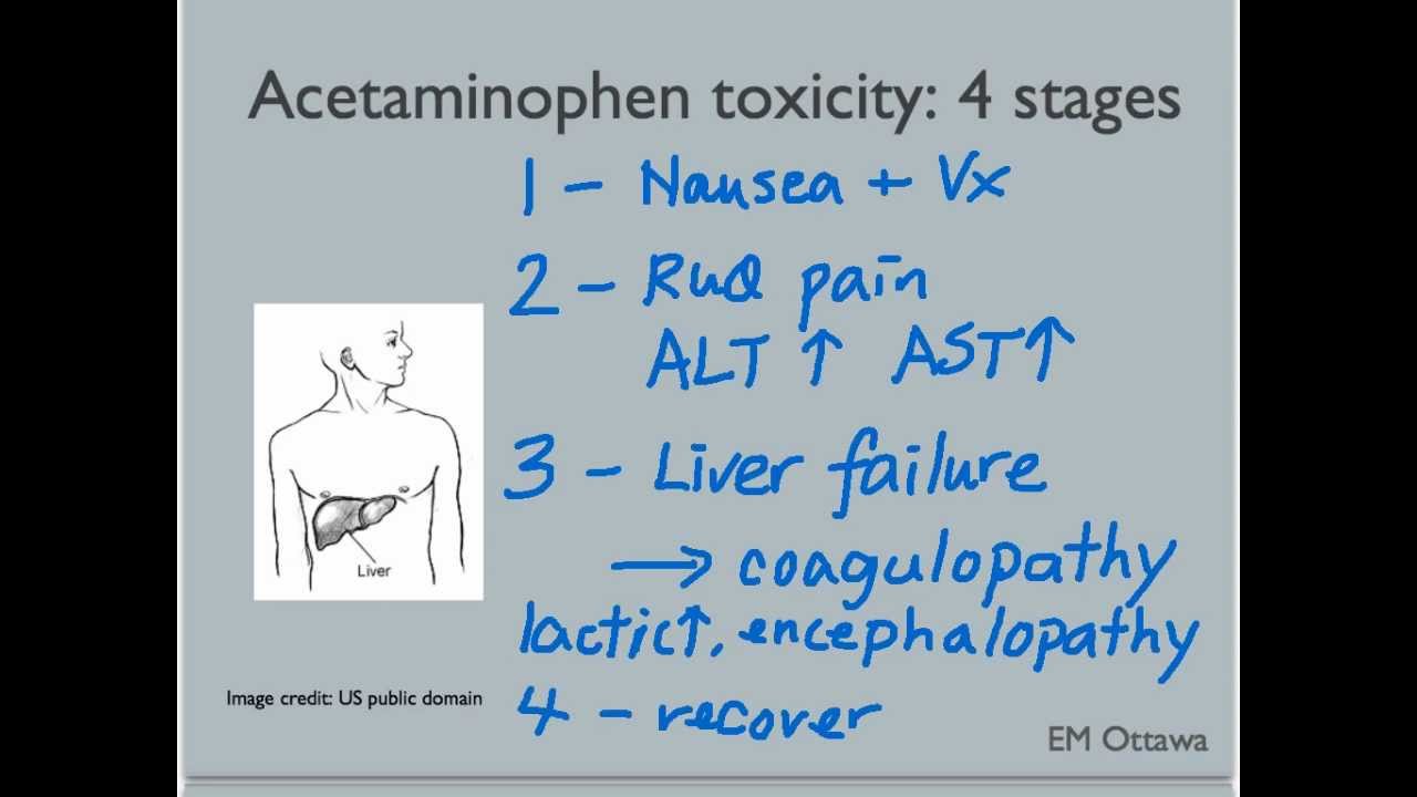 Toxicology Part 3