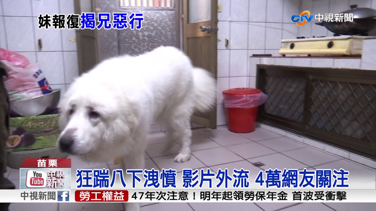 妹報復兄代徵男友 網爆