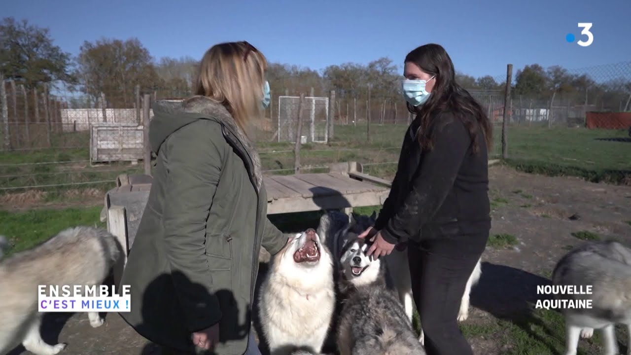 Le sanctuaire Aiseirigh : tout pour sauver les animaux