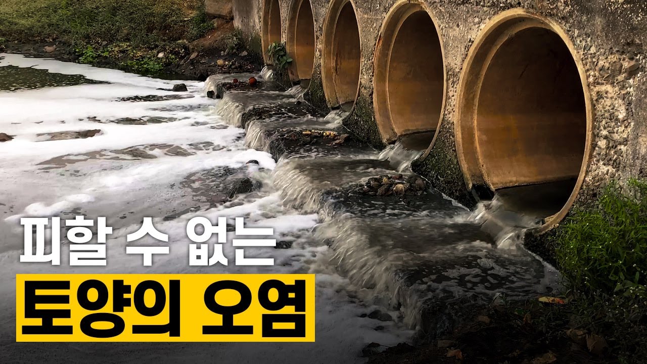 [핫클립] 토양오염이 되는 이유 / YTN 사이언스