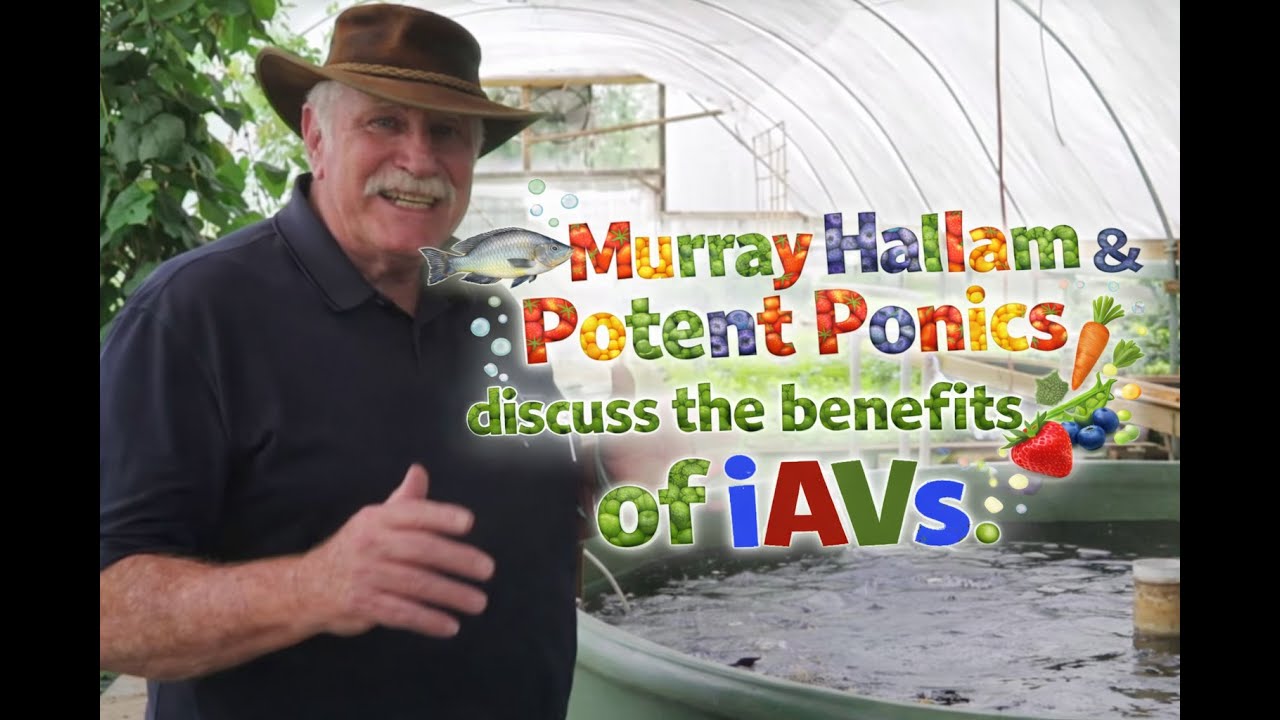 Murray Hallam & Potent Ponics talk about the benefits of iAVs