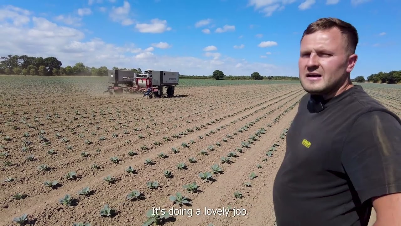 ROBOTTI in brassicas - crop case