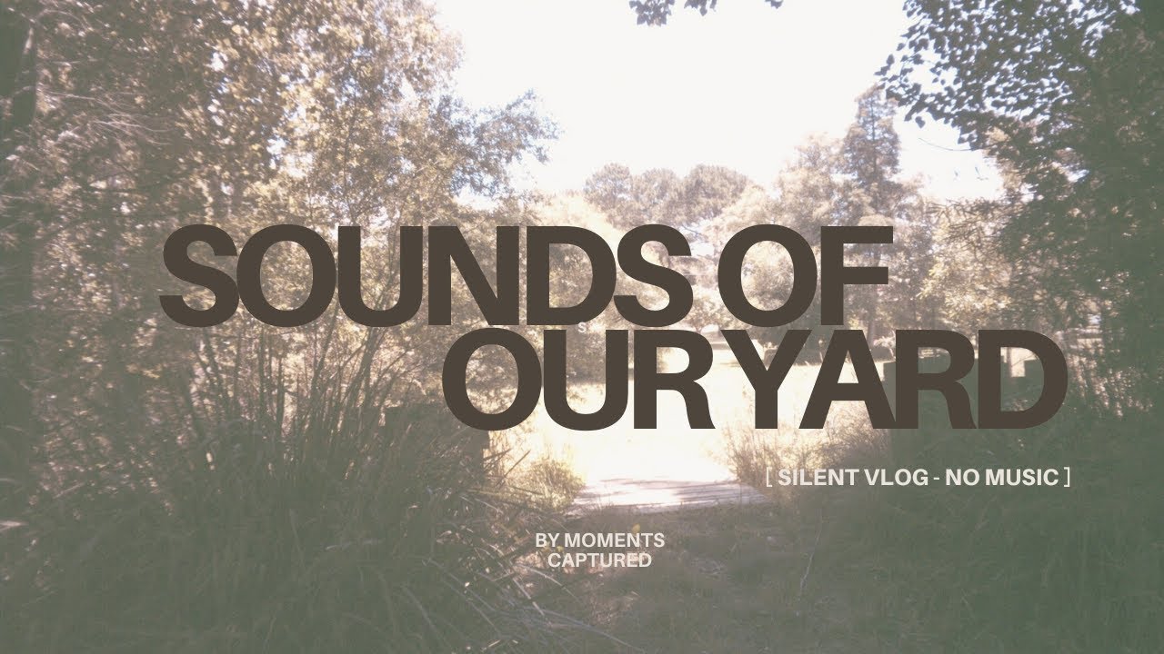 Sounds from our backyard in the suburbs | no music | asmr