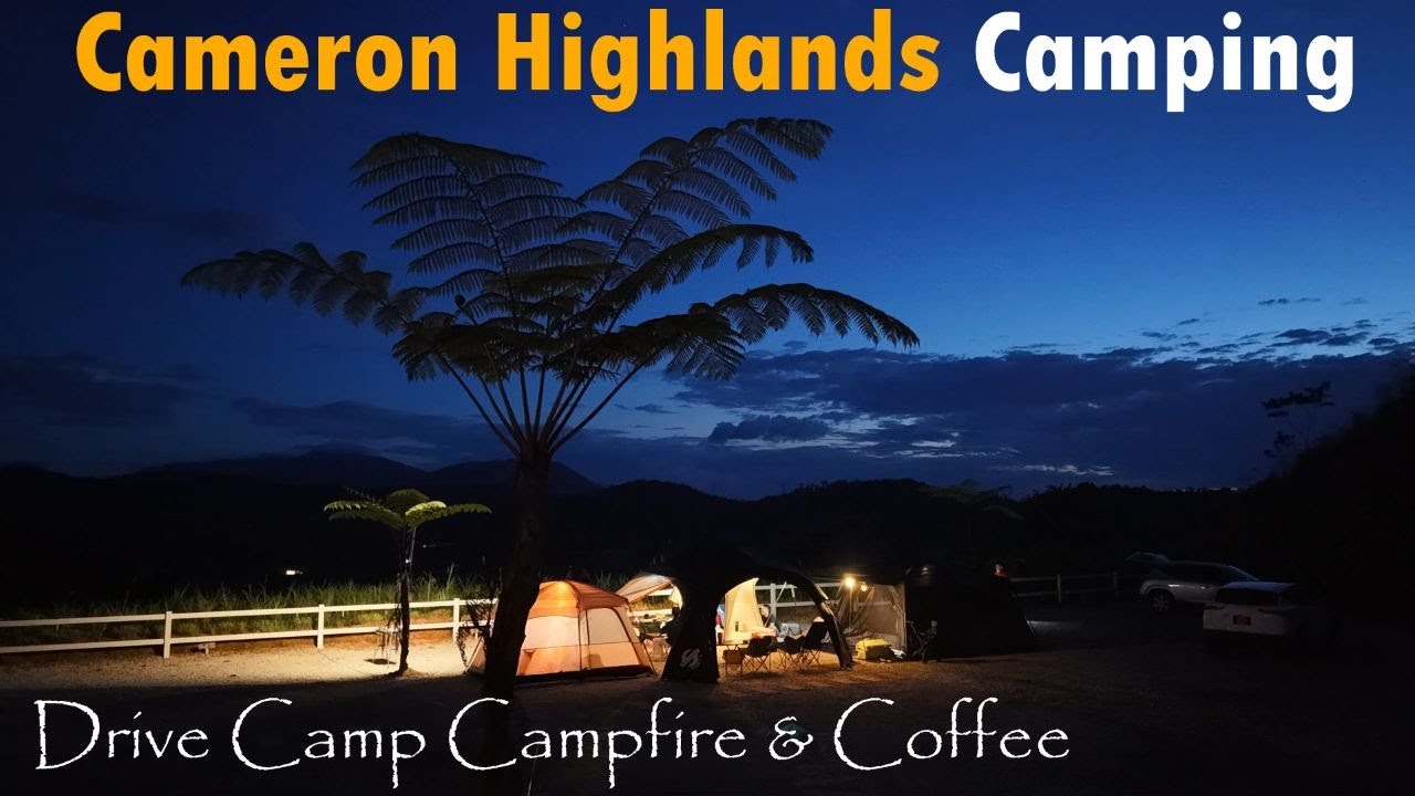 Silent Camping in Cameron Highlands | Cool Breeze & Campfire Ambience | Family and Solo Camping