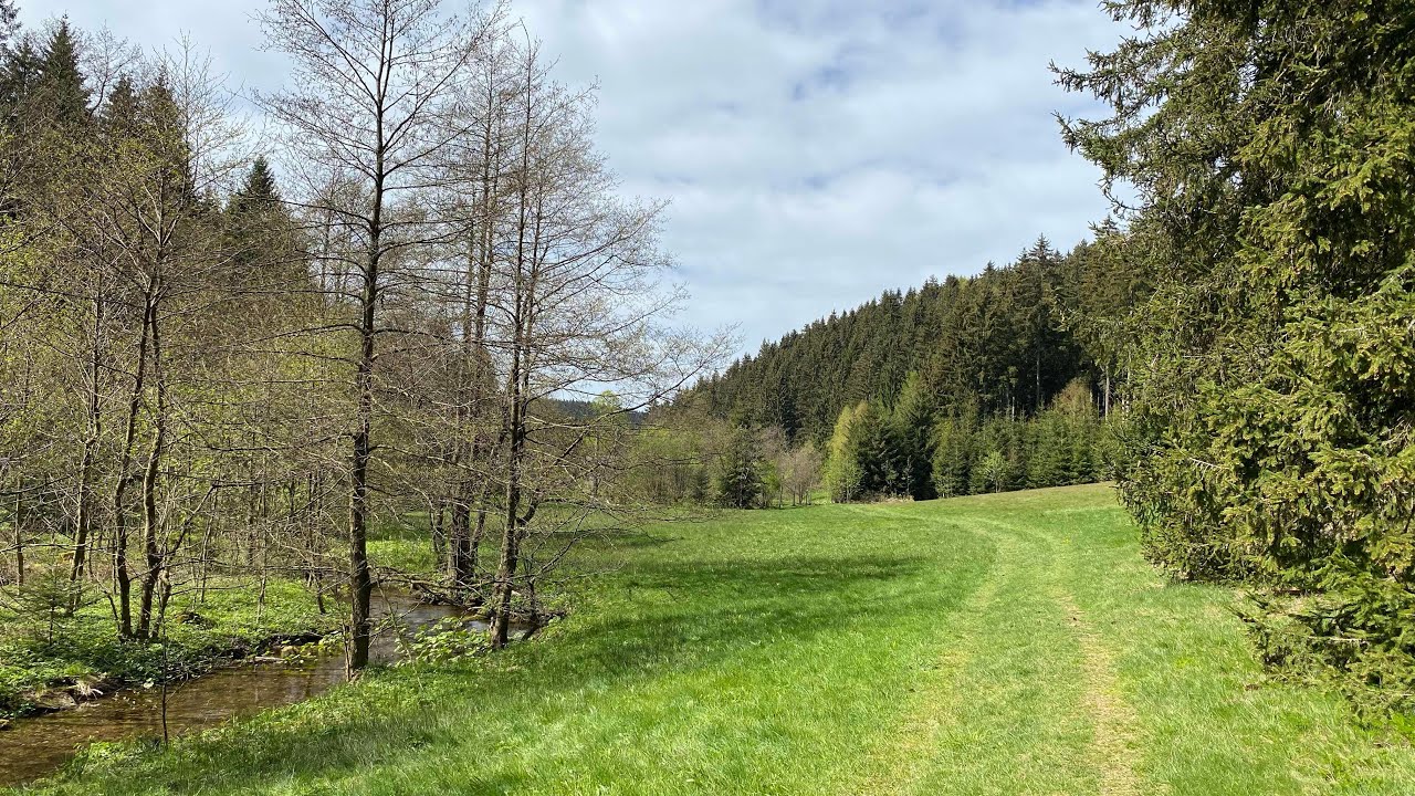 Wanderung durchs Gimmlitztal zur Illingmühle ab Wanderparkplatz Weichelt-Mühle