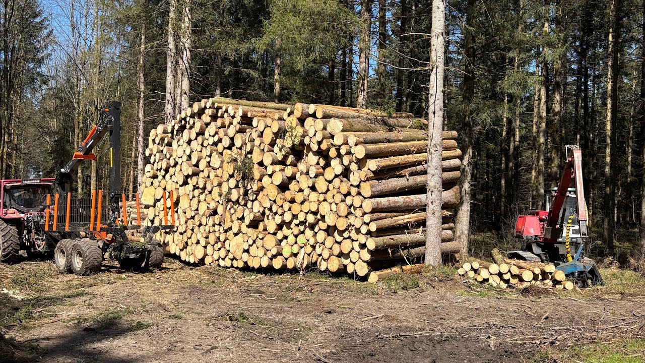 Starkes Holz mit BMF 11T1 Pro Case Vestrum Forsttraktor und Neuson 11002 HVT
