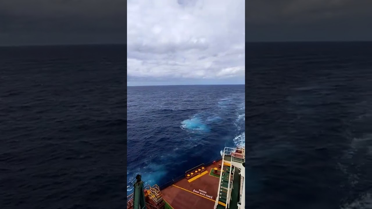 ship in storm #viral #shorts #youtubeshorts #ship#trending #shipinstorm#whatsappstatus