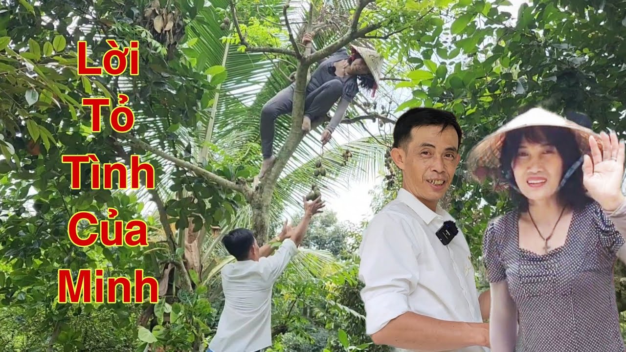 ( P.4 ) Hồi hộp chờ Minh Tỏ tình với Út.  Hồi hộp từ đầu đến cuối. Lần này Minh có tiến bộ...