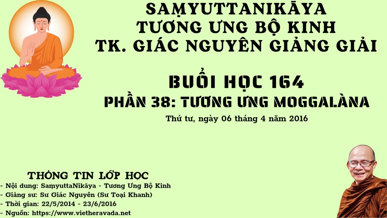 BUỔI 164 | TƯƠNG ƯNG BỘ KINH 2014-2016 | SƯ GIÁC NGUYÊN - PHẬT GIÁO NGUYÊN THỦY THERAVĀDA