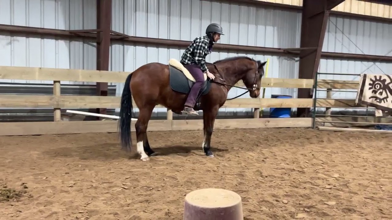 Nitro half steps in hand & ridden