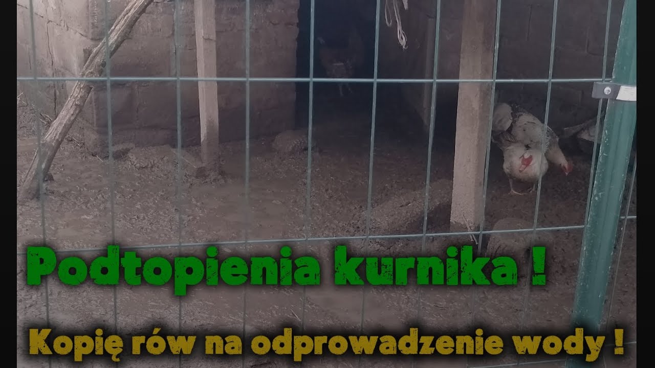 Prawie zalało kurnik, mało brakowało ! 