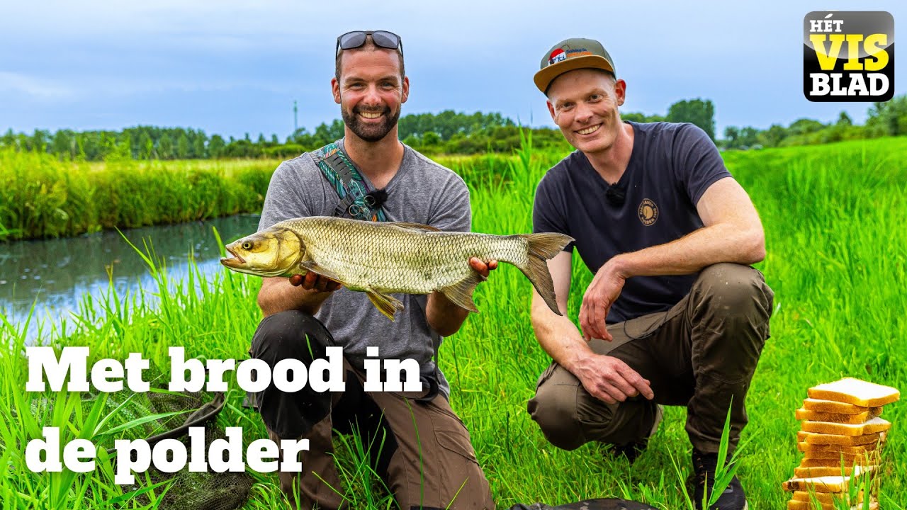 VISblad TV: vissen met brood in de polder