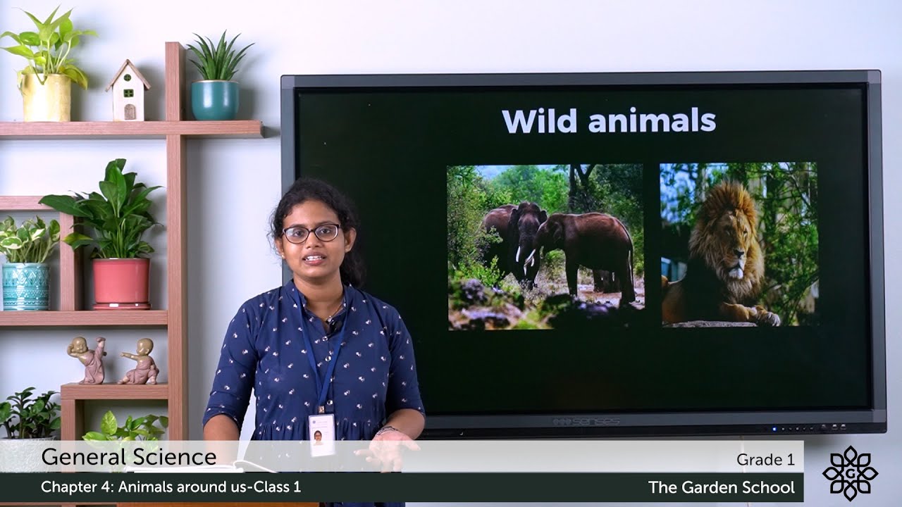 Grade 1 General Science Chapter 4 Class 1 Animals around us