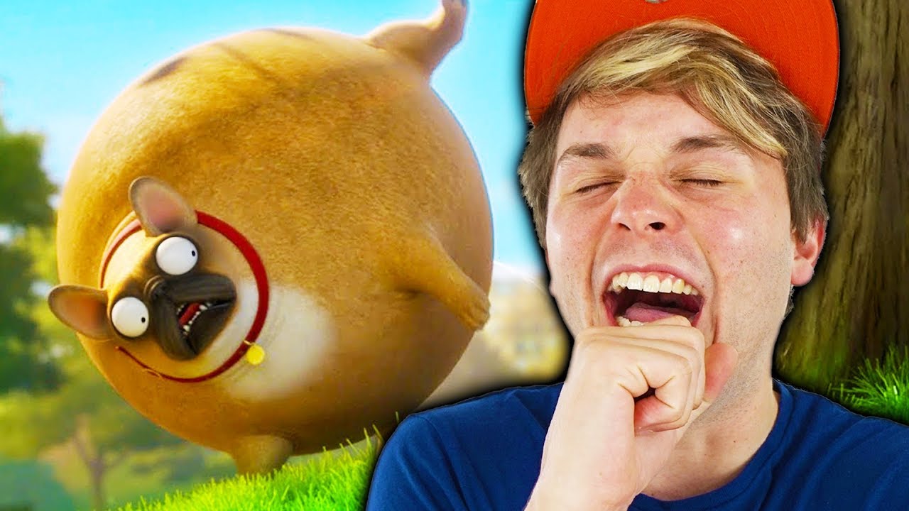 TENTE NÃO RIR COM ESSA ANIMAÇÃO ☆ ANIMAIS REDONDOS ☆