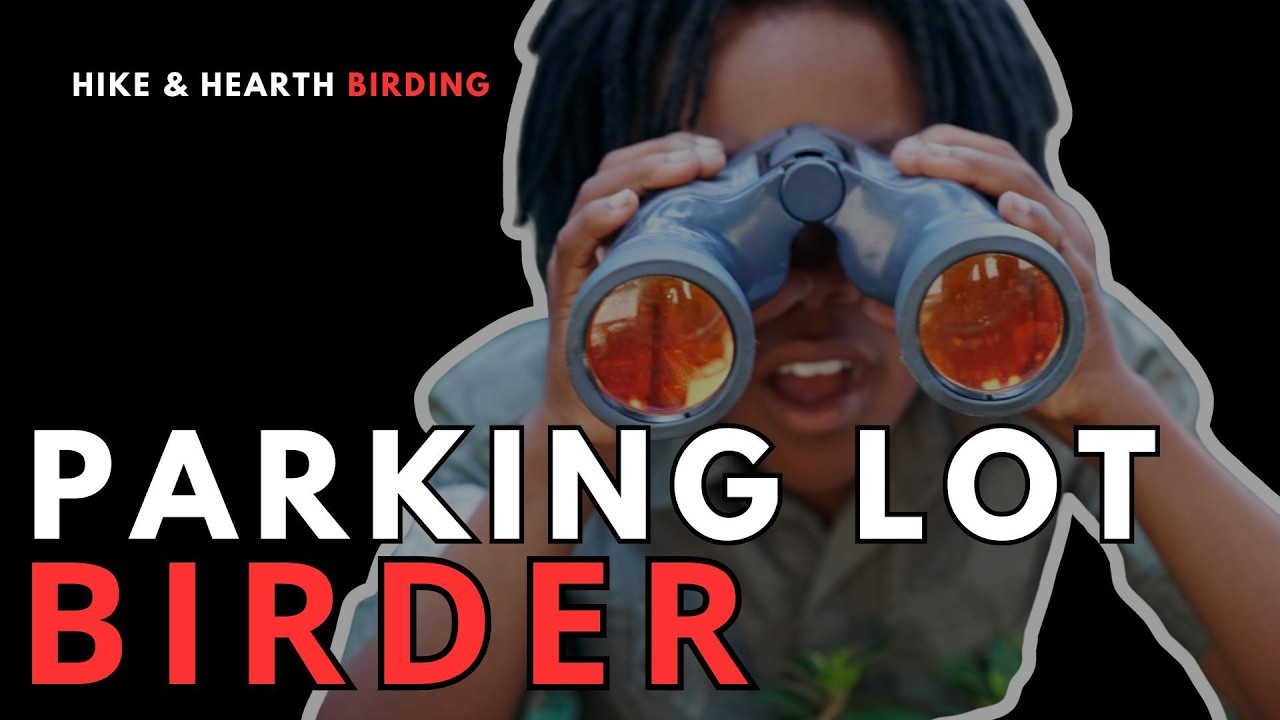 How to Keep Birding When Life Gets Busy