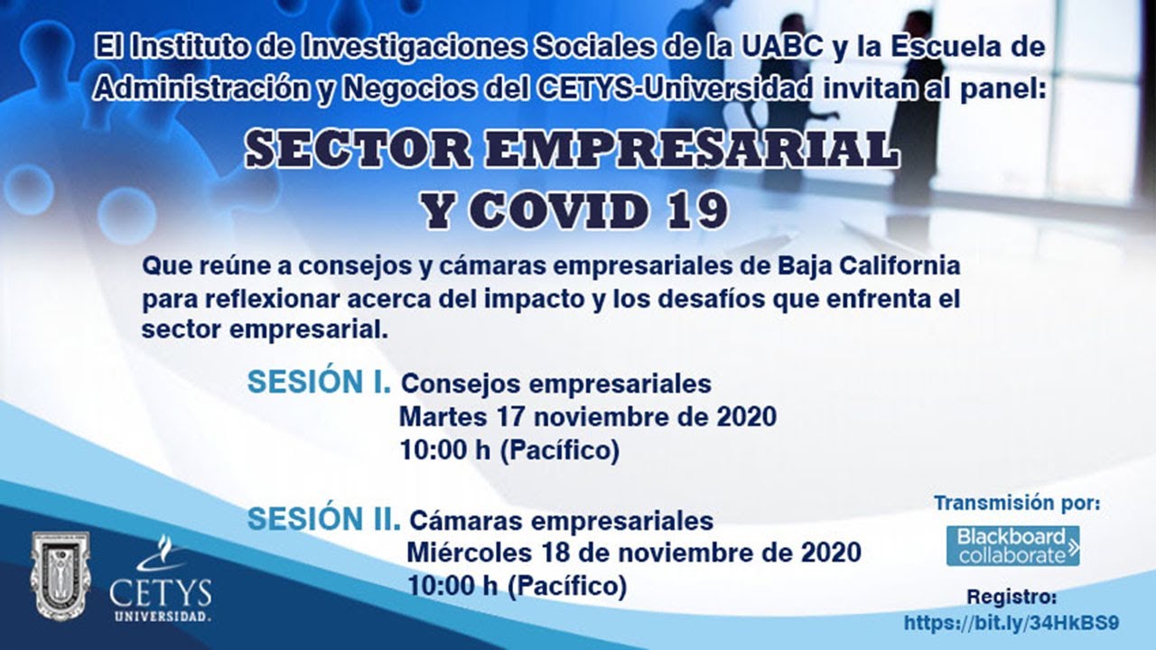 Panel 1: Sector Empresarial y COVID-19