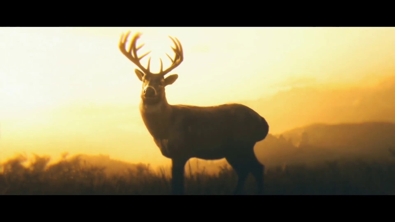 Arthurs Death Scene With 'See the Fire in Your Eyes' Song - Version 1 (Red Dead Redemption 2)