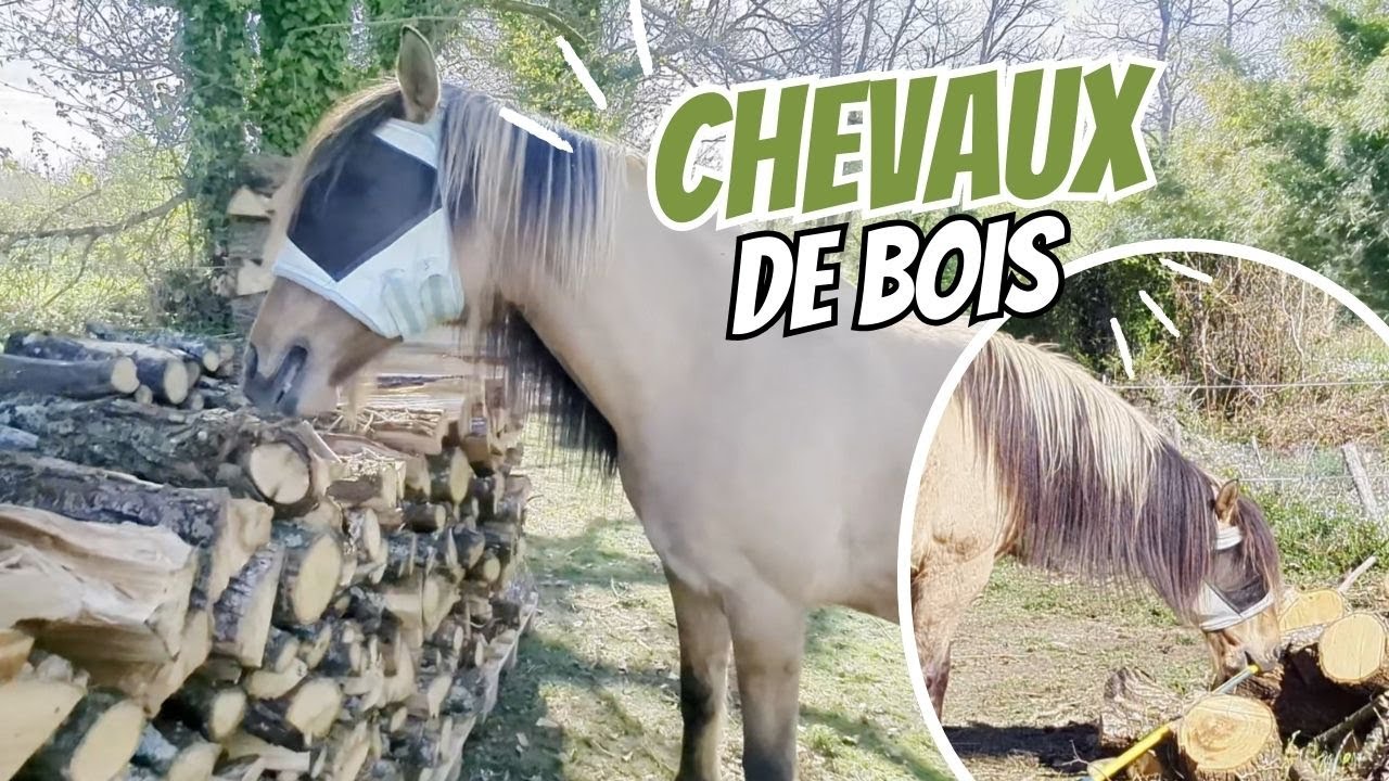IL VEUT ABSOLUMENT NOUS AIDER (et il aide pas)