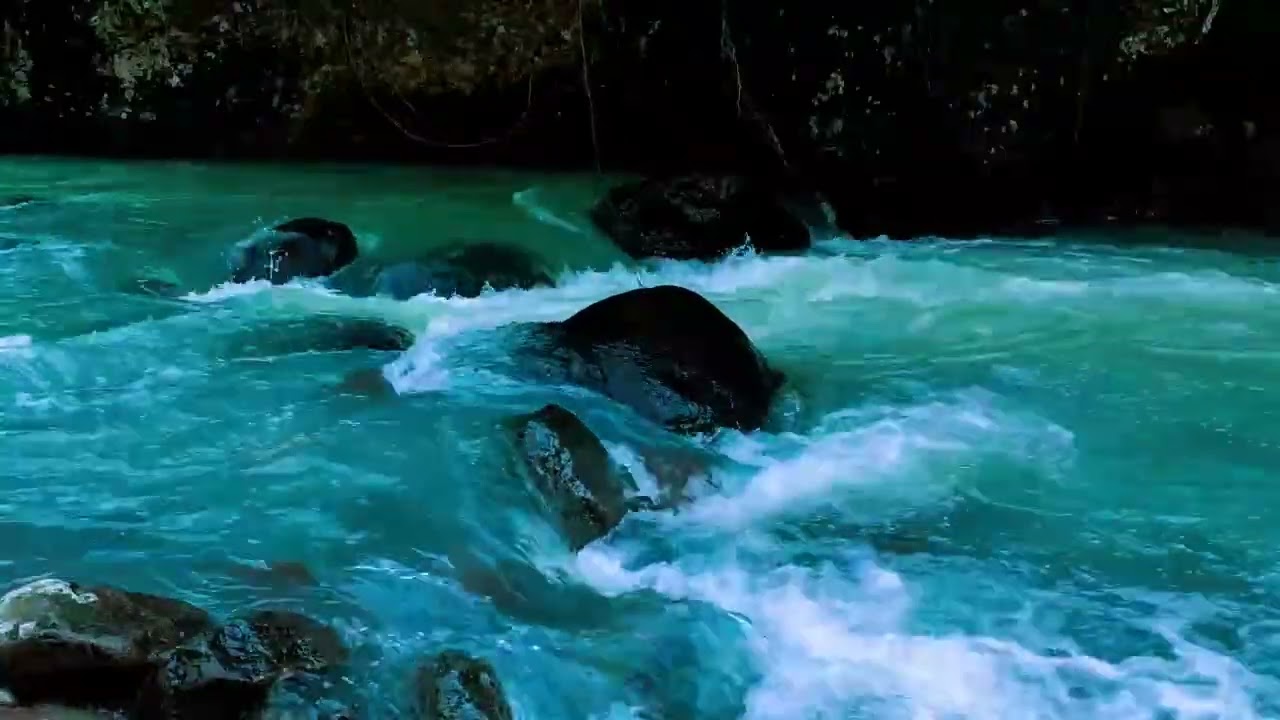 Peaceful Forest Stream, River Flow, Nature Sounds for Sleeping