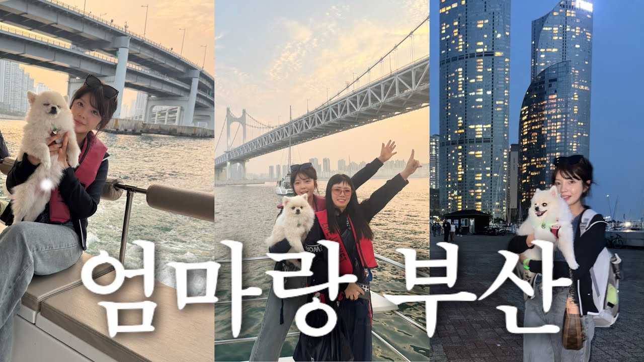 엄마랑 강아지랑 부산 해운대 여행 · 광안대교 노을 힐링 브이로그🌊🐶