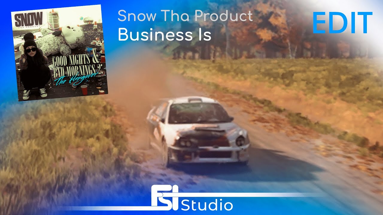 Is Business | DIRT Rally 2.0 EIDT