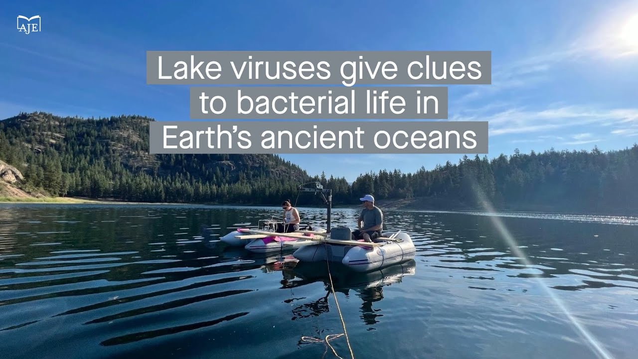 Investigating viral activity in lakes similar to ancient oxygen-free oceans