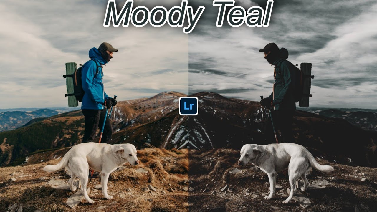 MOODY TEAL - Preset Tutorial | Lightroom Presets Free Download | Moody Teal Tone | Moody Teal Preset