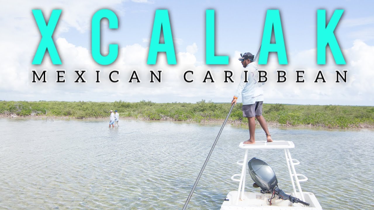 🇲🇽 Fly fishing in XCALAK [🐟 BONEFISH and PERMIT paradise]