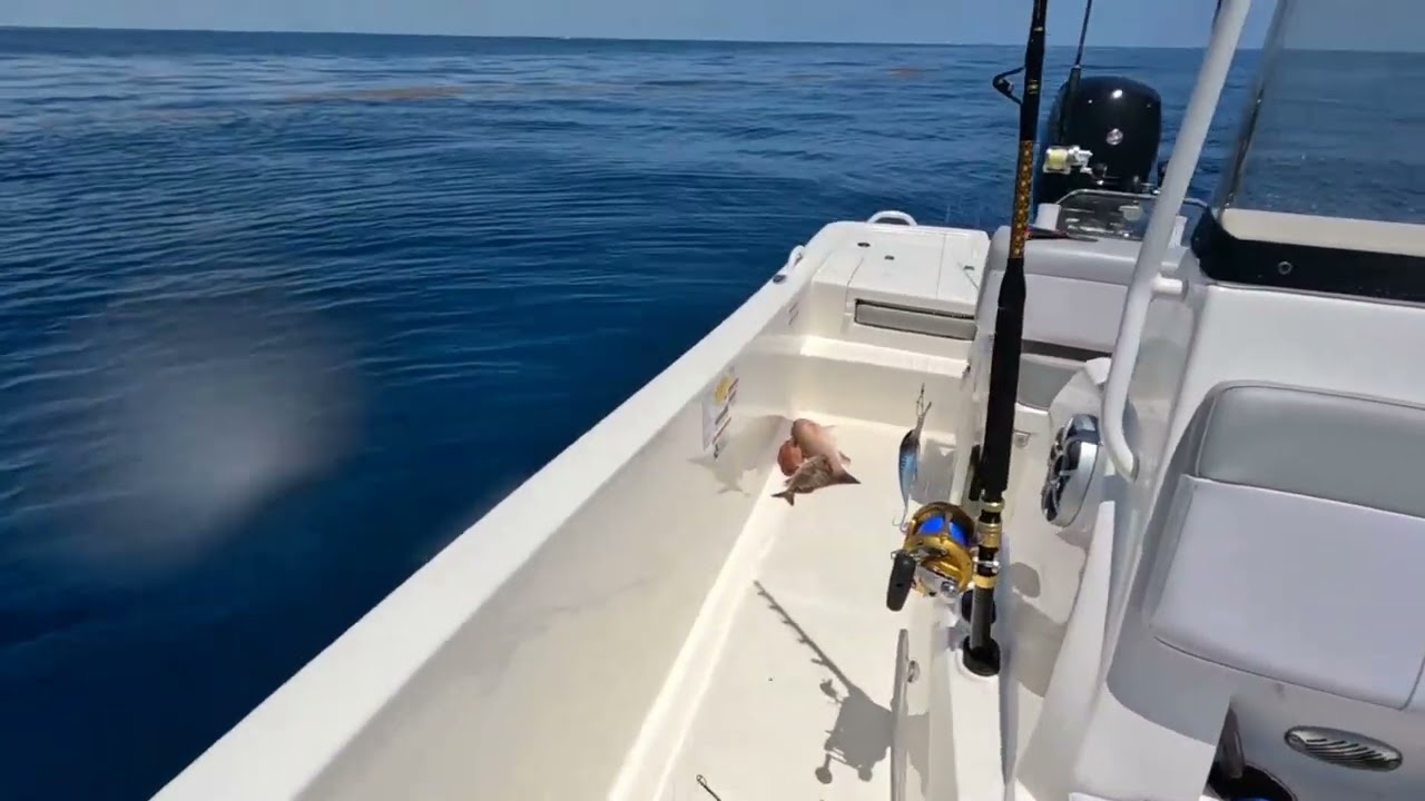 Ofshore Fishing Adventures