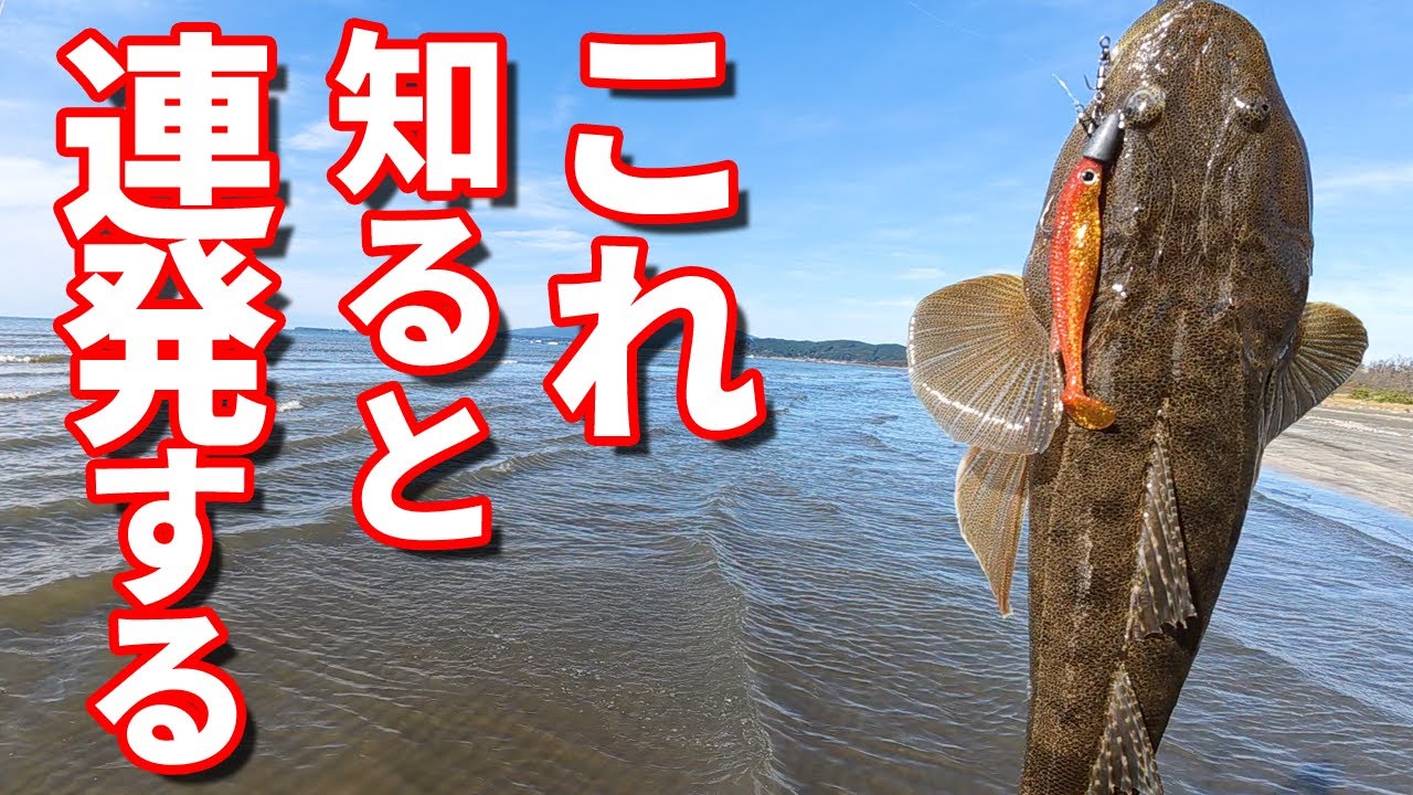 サーフのマゴチ 初心者にやさしい爆釣の秘訣は地形と立位置とこれ