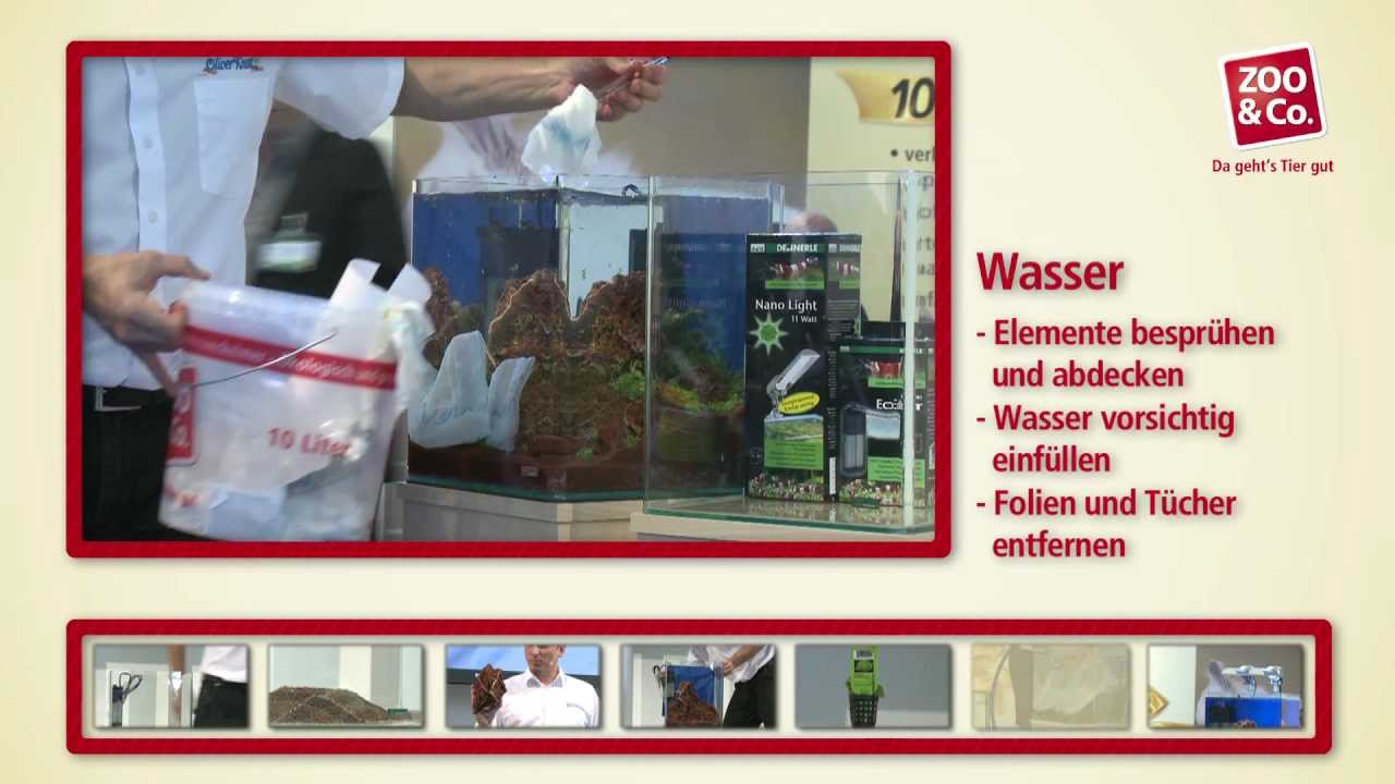 Aquarium einrichten mit ZOO &Co.