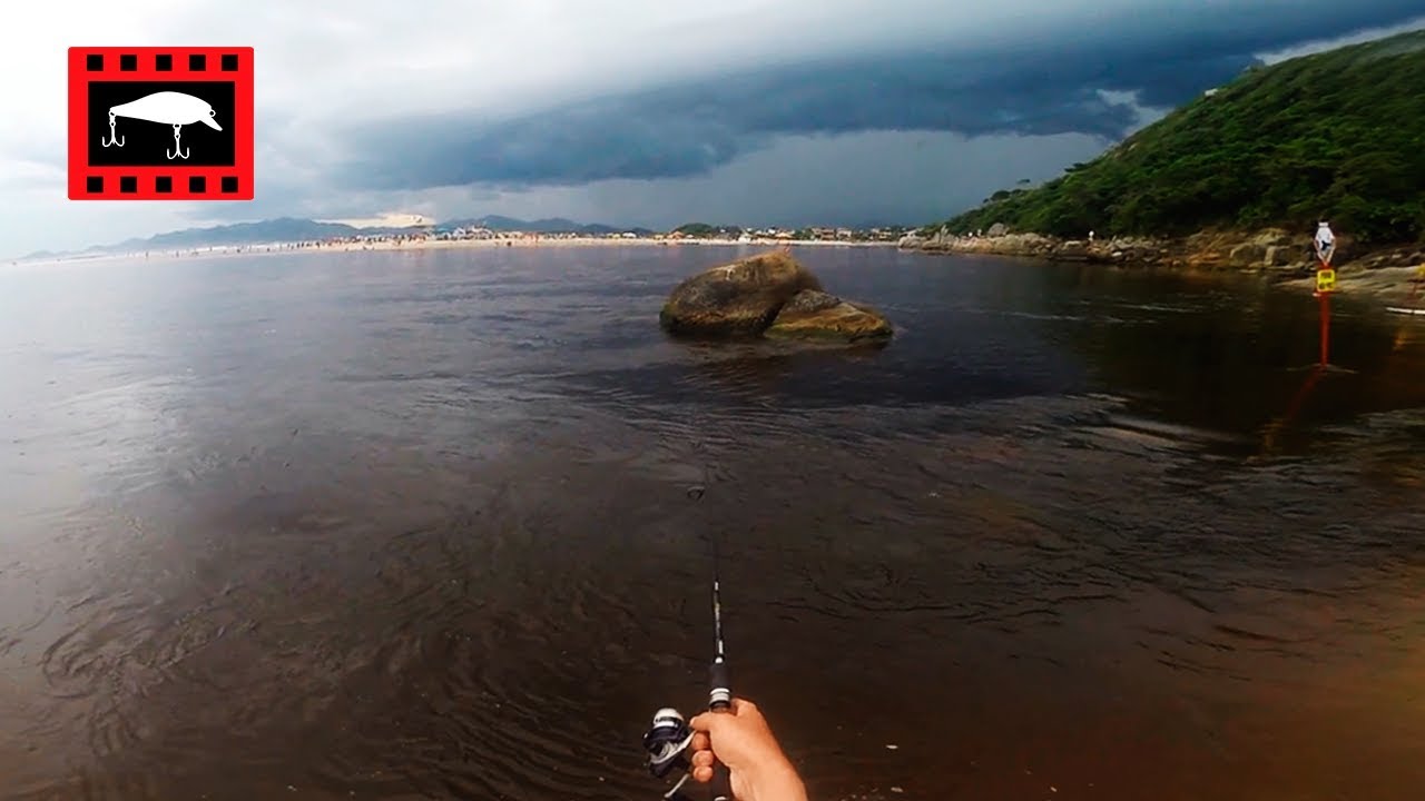 Robalos na Guarda do Embaú