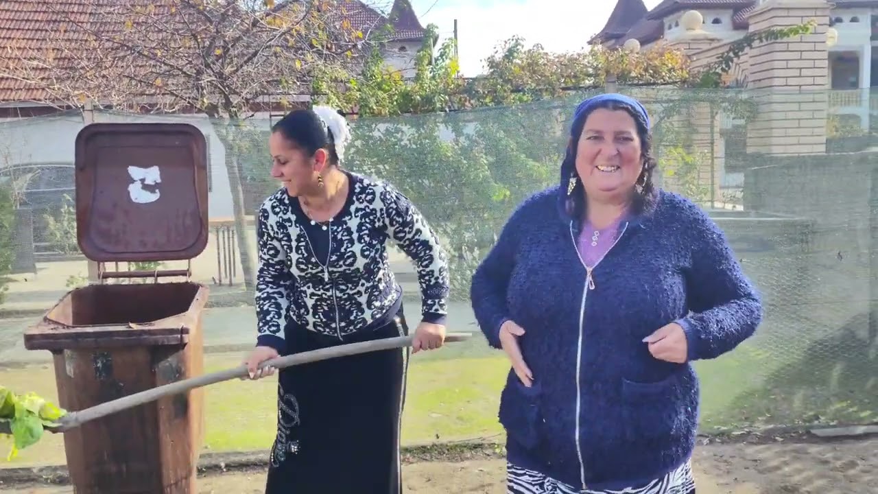 Ce tot muncește Designer Pana