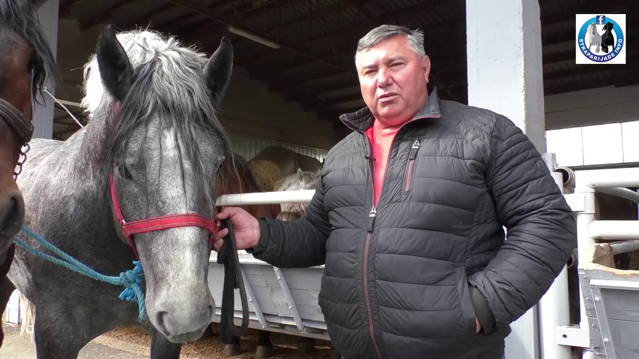 -Braća Šarići iz Našica idu u projekat najveće štraparijade regiona -2019