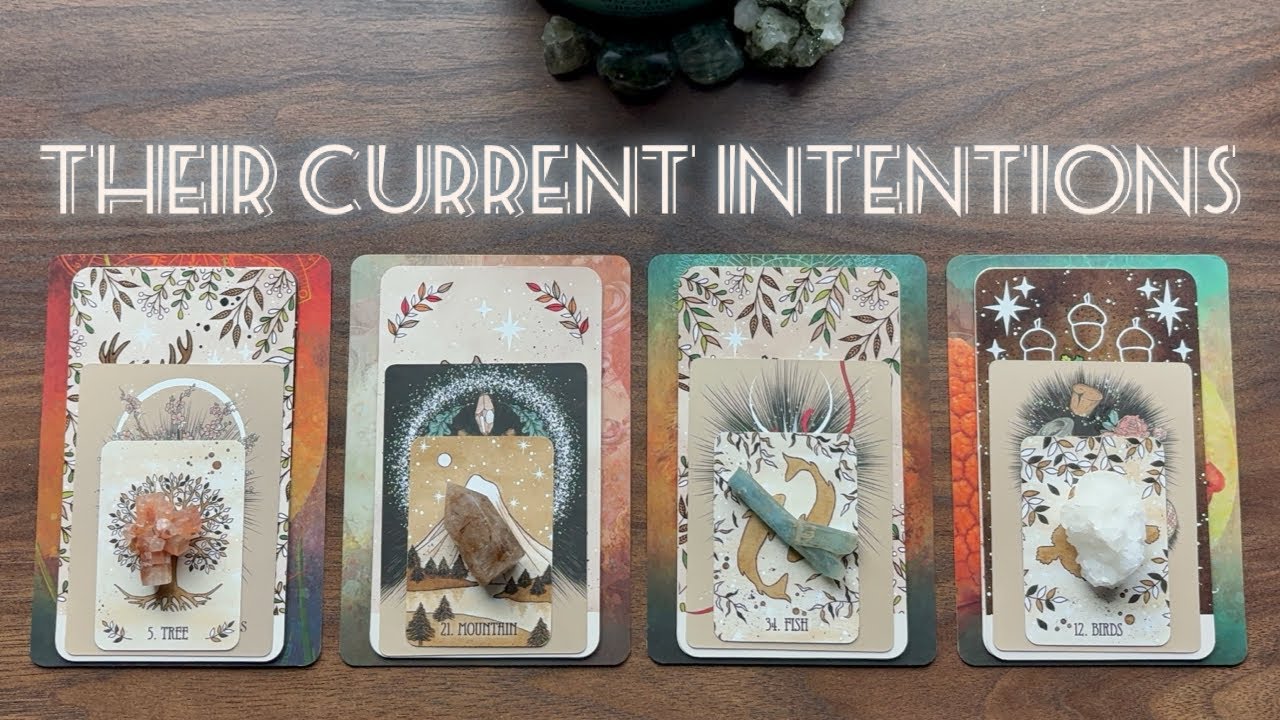 What Are Their Current.. Intentions? 🫨🔫 | 🌿 Tarot • Pick a Card Reading 🌟