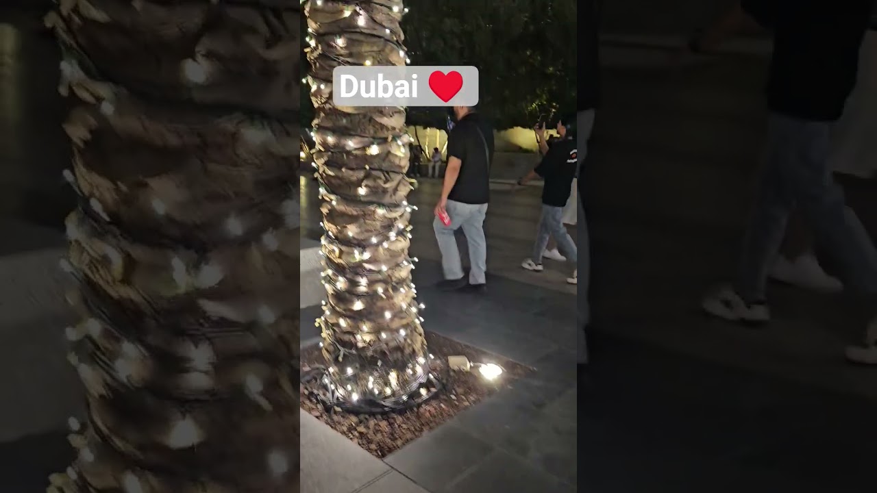 Dubai #viral #dubai