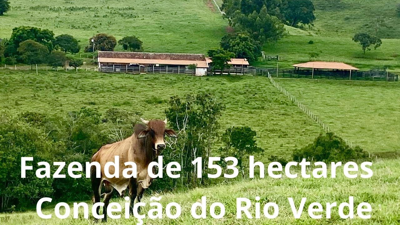 Com Casa sede e caseiro, Curral novo, Tronco com balança, Estábulo com 450 m², 8 nascentes, 1 lagoa 