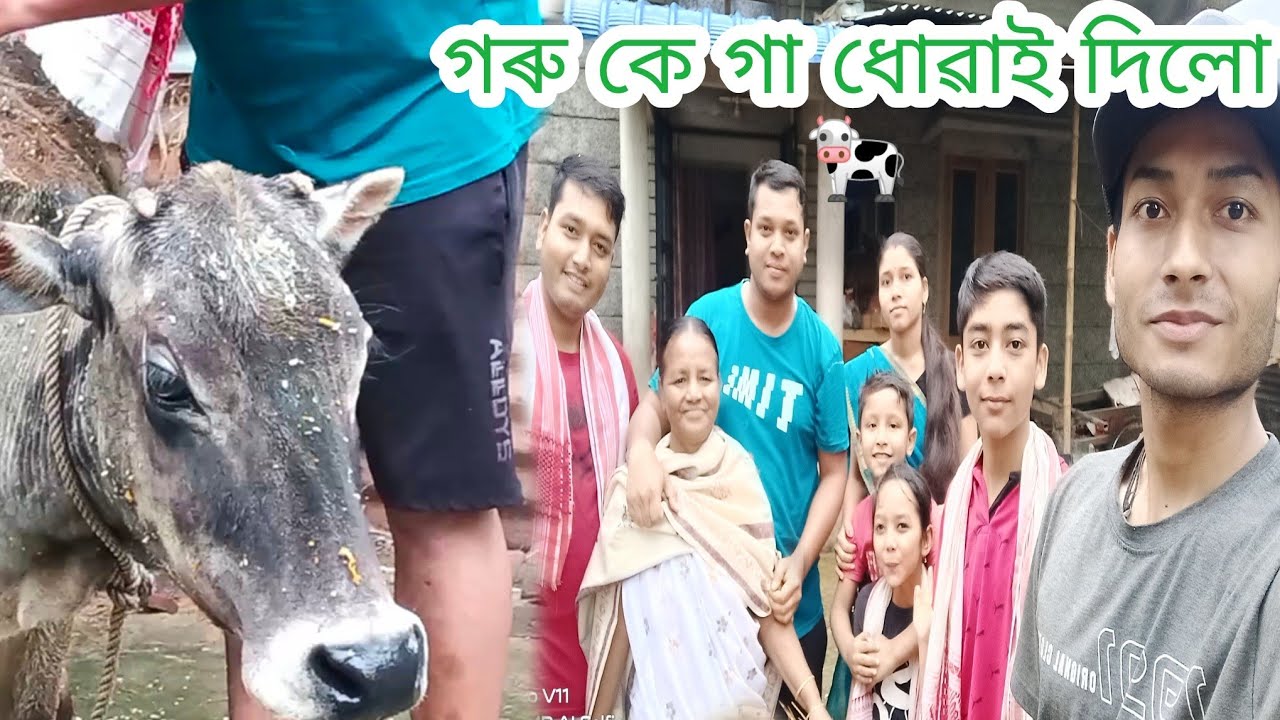 Happy COW 🐮  bihu..... 🥰