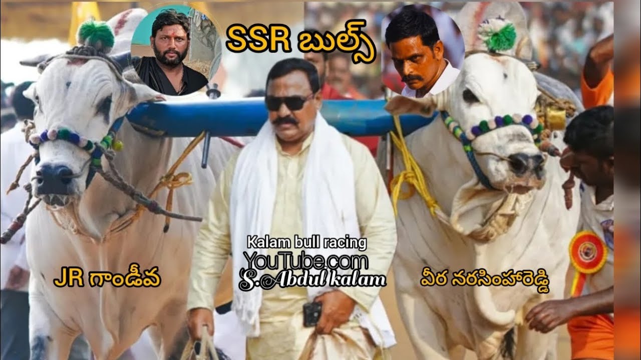 ఎమ్మిగనూరు సీనియర్స్ విభాగానికి 6వ జత SSR బుల్స్ (వీర నరసింహా రెడ్డీ & Jr గాండీవం) 🦁🦁🦁🔥🔥🔥