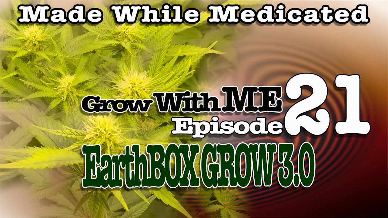 CRAZY MarionBerry OMG ! - Grow With Me - Episode 21 | Earthbox Grow 3.0 -